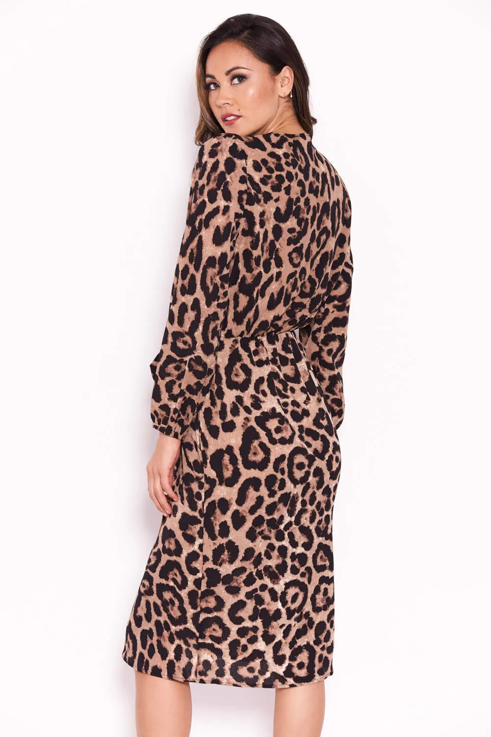 Animal Print V-Neck Wrap Dress