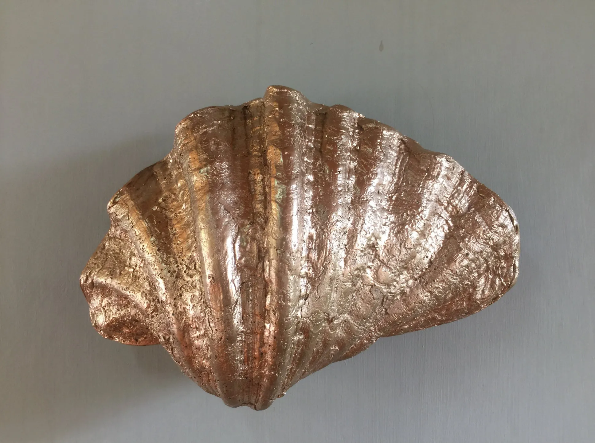 FLUTED SHELL WALL SCONCE (AVAIL, WHITE OR GOLD)