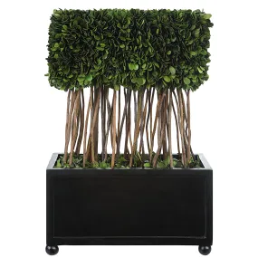 Uttermost Preserved Boxwood Rectangular Topiary